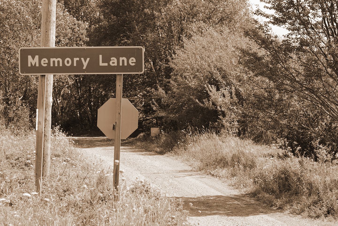 Memory-Lane
